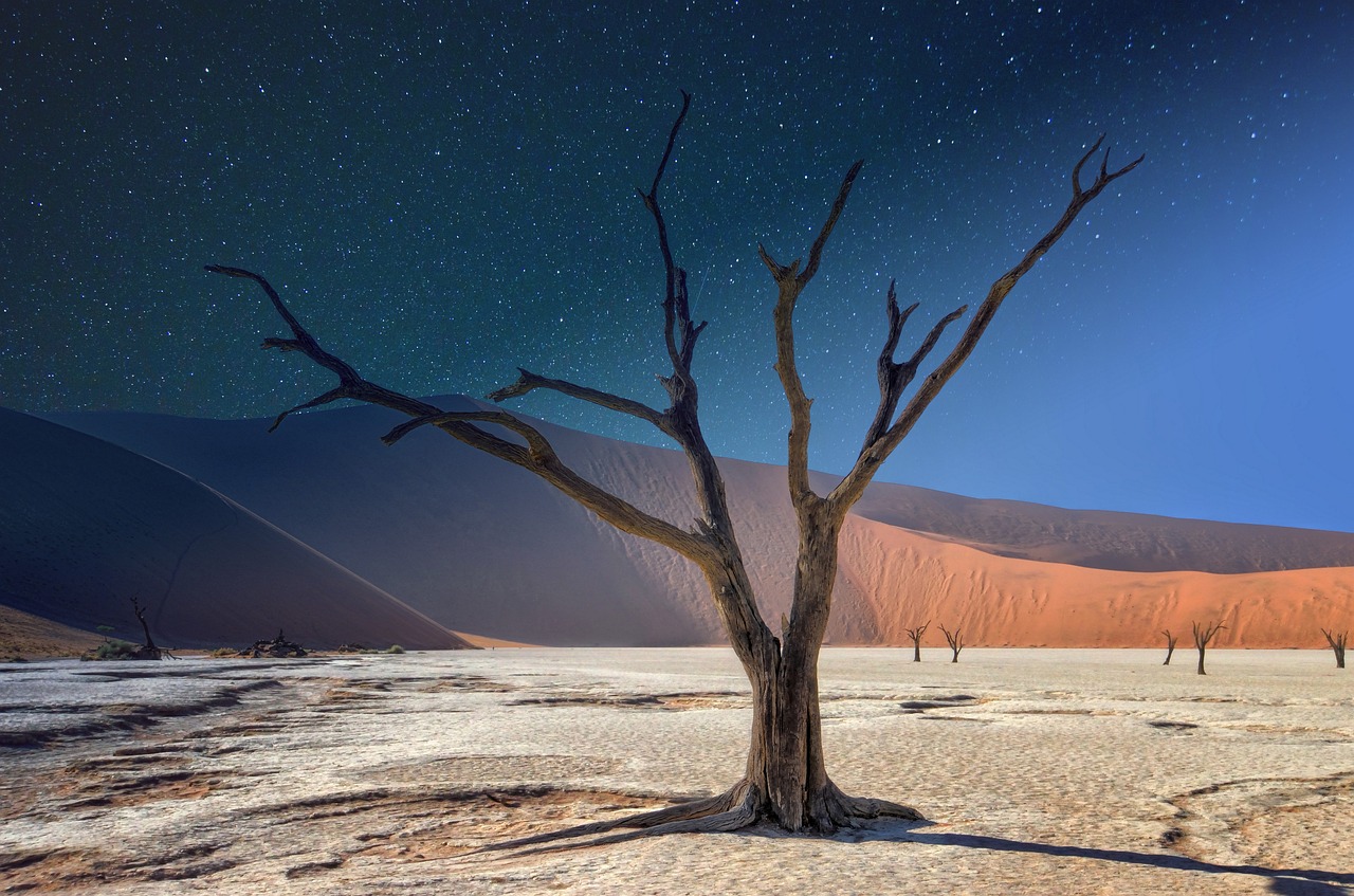 How to Capture the Beauty of Desert Landscapes